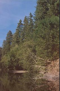 redwood-creek-091706-2