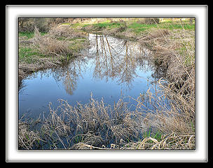 Creek Reflection B, 3.24.08.
