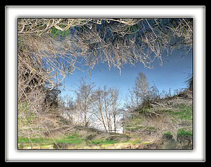 Upside Down Creek Reflection, 3.24.08.