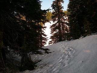 Mason Lake Old Trail