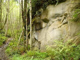 Chuckanut sandstone near Lost Lake, Washington