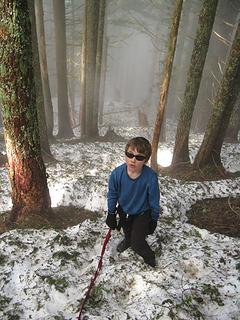 Snow in upper forest