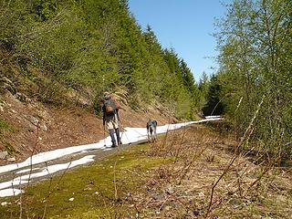 carrying skis to the snowline on Slide Mountain in late May