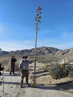 Jim w/desert agave stalk