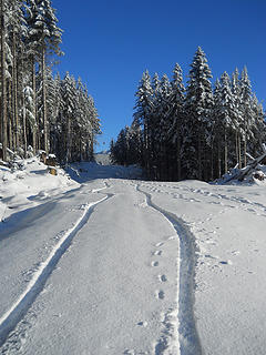 Dirt bike tracks in the snow, Blue Mountain 12/23/17