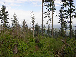 Partial View from logged area before powerline crossing Rattlesnake Mountain Trail.