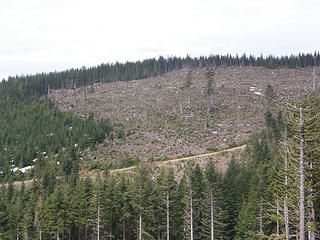 Rattlesnake Mountain road off main trail looking west at clearcuts.
