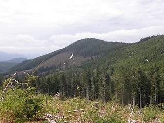 Rattlesnake Mountain road off main trail looking south west at clearcuts.