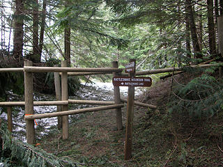 Rattlesnake Mountain Trail at confusing point. Go through gate and take first road to left.