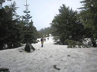 Snow towards the summit