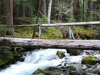 Log bridge across Royal Creek