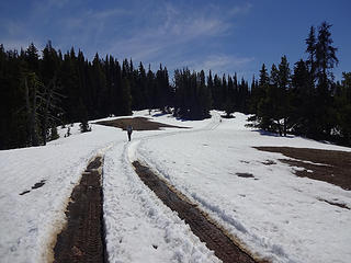 We followed the trail up to the top of the ridge at about 5600' where ORV'ers have already started their season.