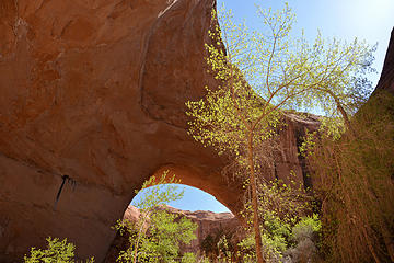 Jacob Hamblin Arch, Coyote Gulch, Utah