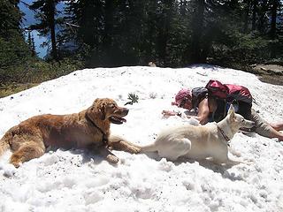 "dogs" chillin' in the snow
