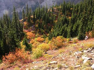 Commonwealth Basin Trail, Central Cascades, WA, USA
