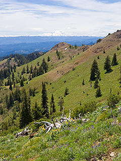 County Line trail in upper right