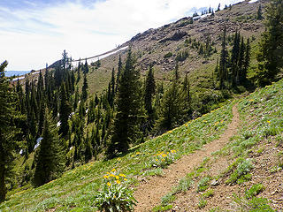 County Line trail traversing south slope of Miller Peak.