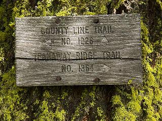 The Teanaway Ridge  trail leads to the Iron Bear Creek trail which takes you back to the TH.