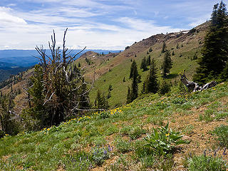 County Line trail traversing south slope of Miller Peak