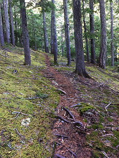 Pierce Mountain Trail is easy to follow