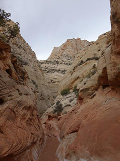 Sheet Gulch mid canyon