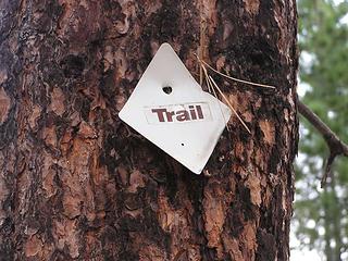 Trail marker posted on a few trees but only up to about 3600'
