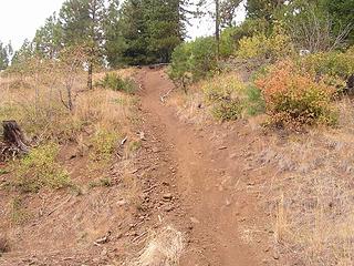 Dirt bike trail only - avoid going up this one