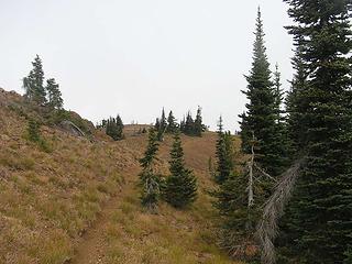 Trail on Elbow - not really a "grassy slope!"