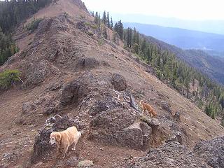 Ridge trail - mostly rock