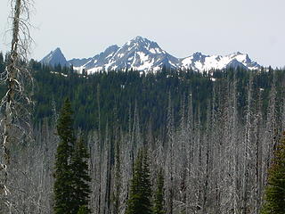 Burnt forest and Cashmere Mtn.