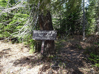 The trailhead is a hundred yards up FR 5484.
