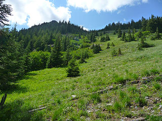 The trail peters out here as the route heads directly up this steep meadow