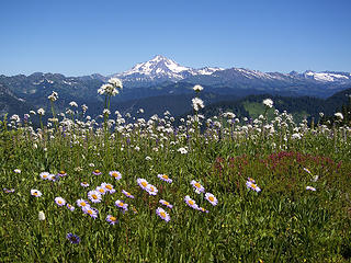 Glacier Peak and wildflowers