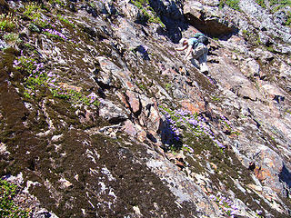 Climbing East wall of center butte