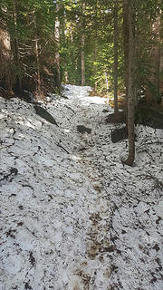 Snow starting about a half mile from Lake Stuart