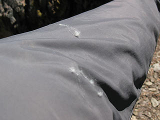 Goat hair on my pants. "The Hippies will pay top dollar for that stuff!"