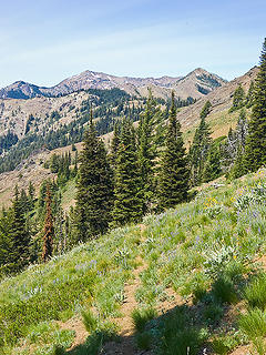 Tread of County Line trail.  Distant peak on left with snow is Earl.  Triangle peak near right side is Little Navaho.