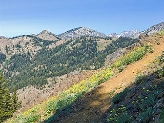 Miller Peak trail.  Little Navaho and (Big) Navaho in background.