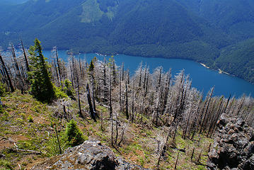 Lake Cushman from Mount Rose, 4300 feet