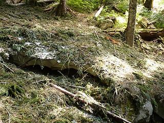 avalanche deposit at 3900 feet on Lookout - Monogram Lake trail
