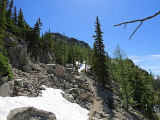 Burch Mtn. / Eightmile Ridge Trail from Billy Goat Pass