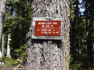 The trail crosses the PCT at .7 miles and enters a clearcut area.