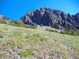 Flowers and ridge above trail