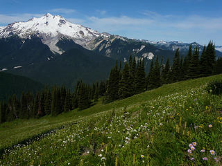 Meadows on the way to High Pass
