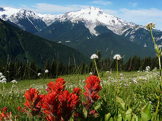Paintbrush and other subalpine flowers add color to a meadow with Glacier Peak dominating the skyline.