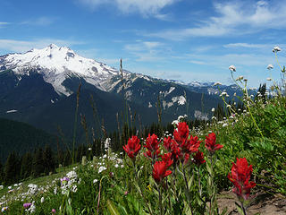 Paintbrush and other wildflowers from the High Pass trail with Glacier Peak in the background