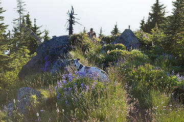 Kiefer plays in flowers on the summit