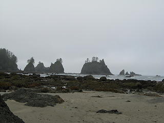 Point of the Arches from Shi Shi Beach, at very low tide (grannyhiker)
