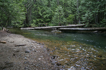 Swimming/fishing hole along the West Fork Fish Creek, proposed Great Burn Wilderness Area, Montana.