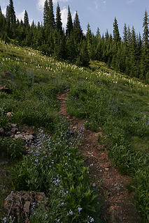 Ascending out of the Foley Basin, toward the Siamese Lakes, proposed Great Burn Wilderness Area, Montana.